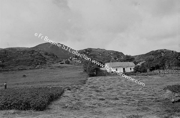 COTTAGE BY ROAD TO BUNGLASS